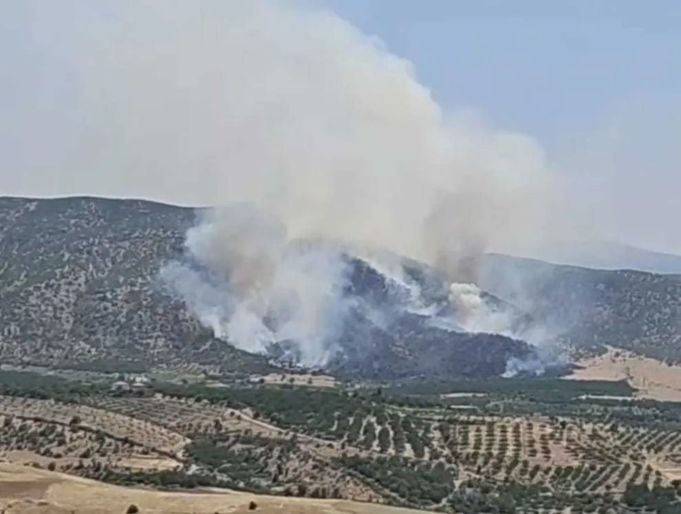 Malatya Pütürge’de orman yangını paniği
