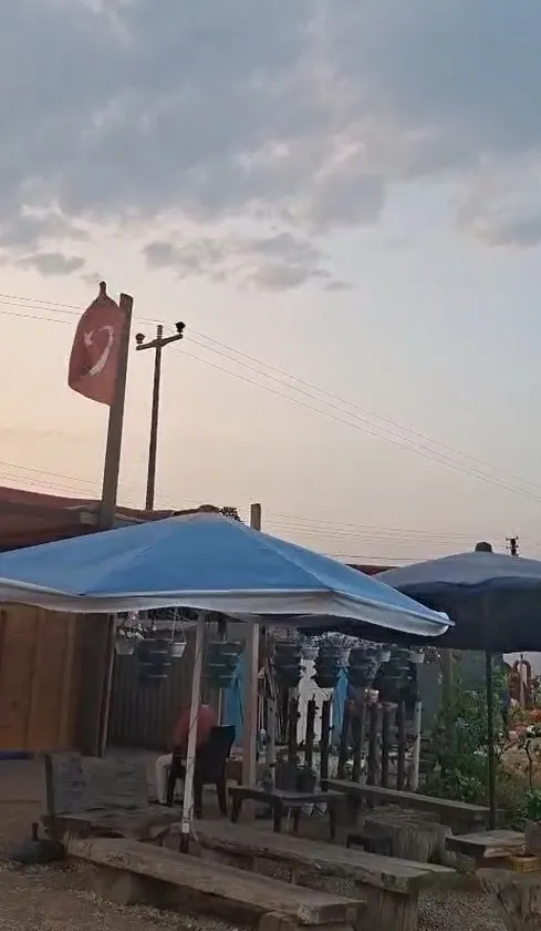 Orhangazi'de yamaç paraşütçüleri zeytin ağacına takıldı