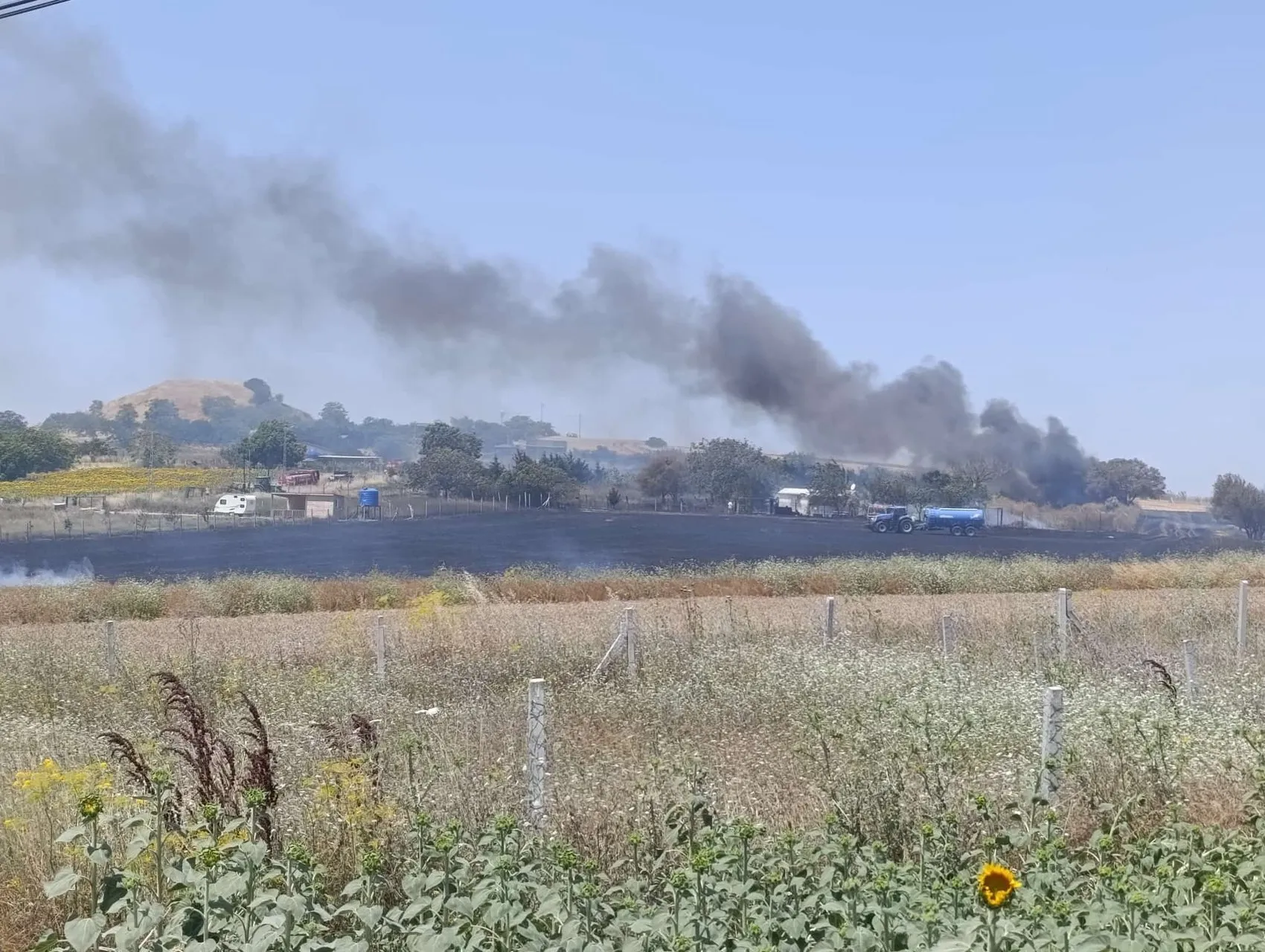 Silivri’de direk kesimi tarlaları küle çevirdi