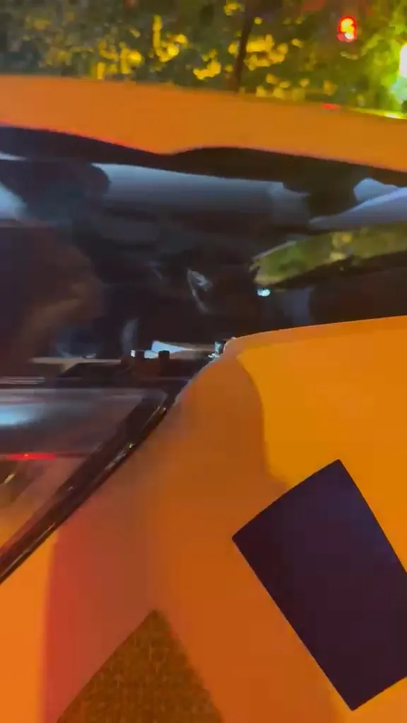 Polis otosunun motoruna sıkışan kedi için seferberlik