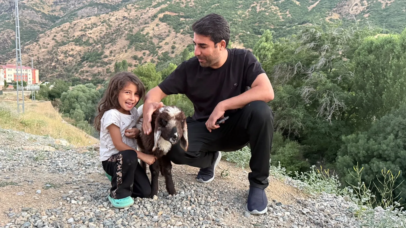 Şemdinli'de bir kuzunun sıra dışı yaşam yolculuğu