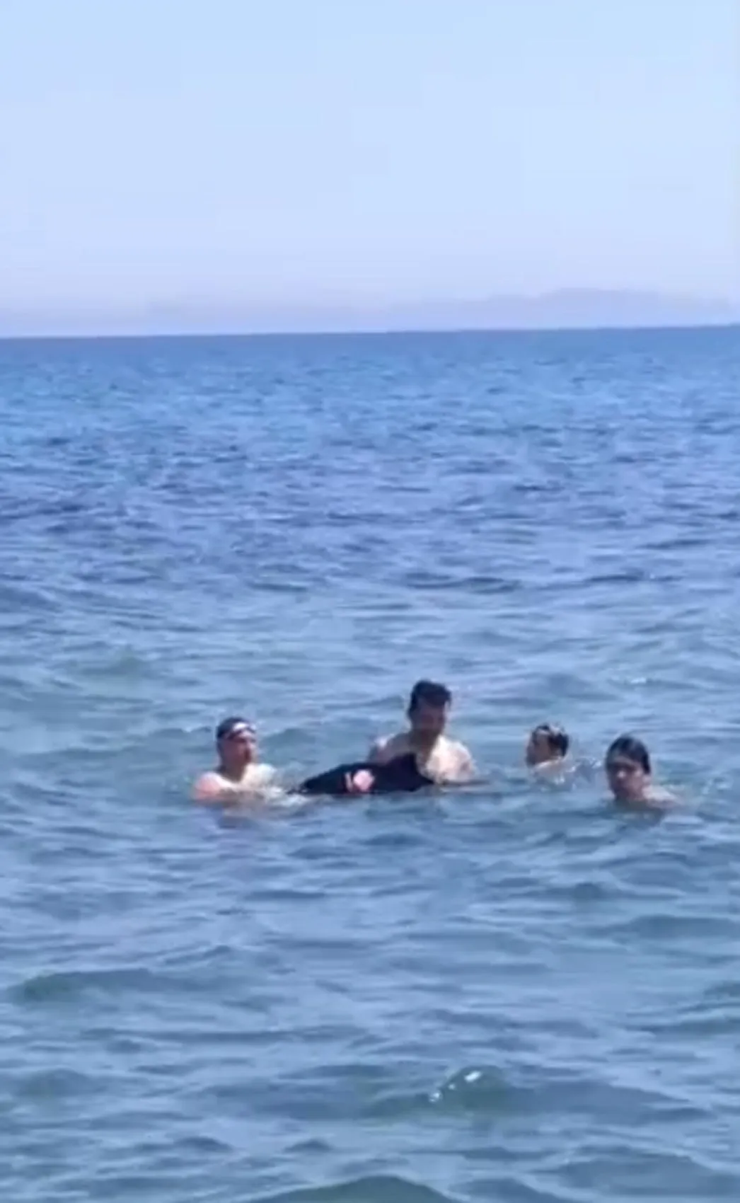 Şarköy sahilinde tatilcilerin yeni arkadaşı yavru bir yunus oldu