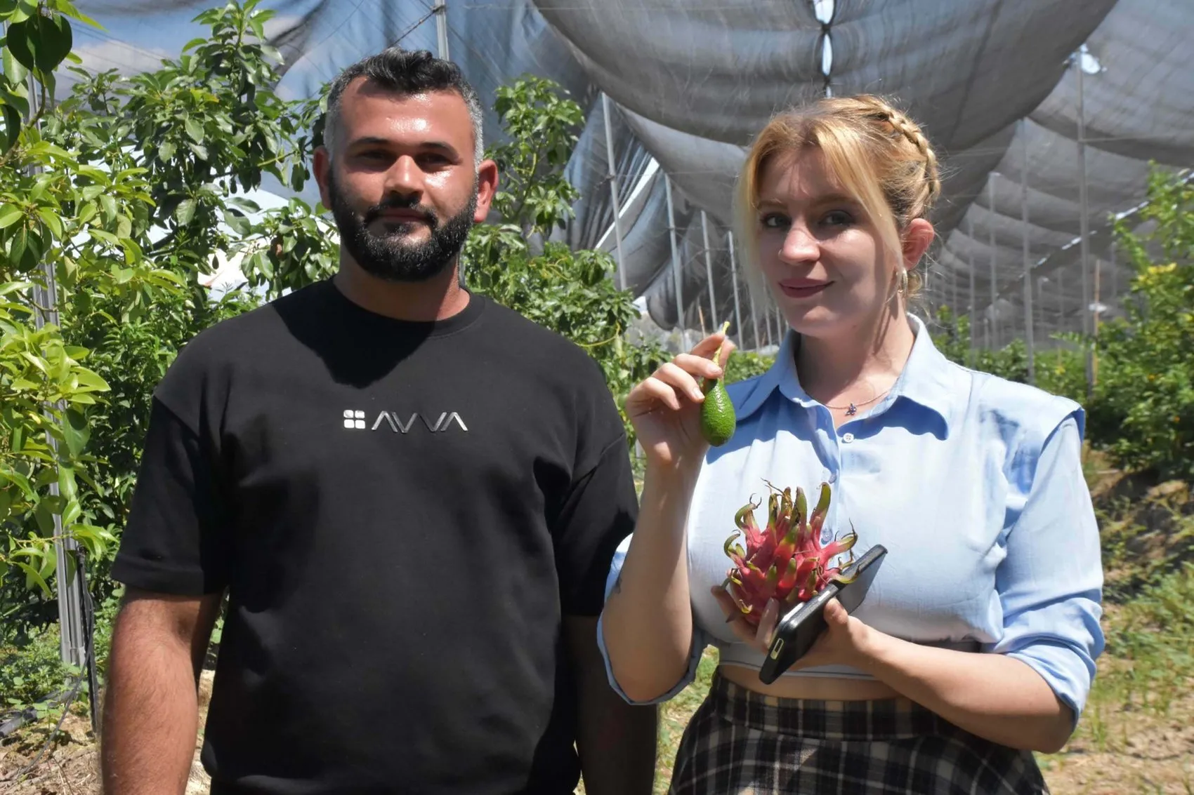 Nazilli’de tropikal devrim Ege artık avokado ve ejder meyvesi ihraç ediyor