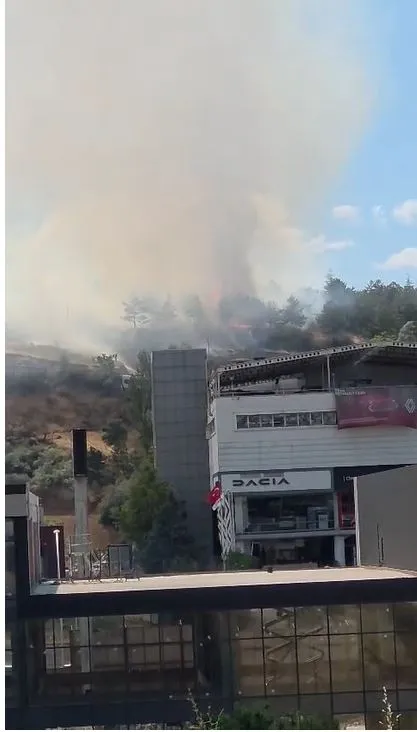ODTÜ ormanında korkutan yangın büyümeden durduruldu