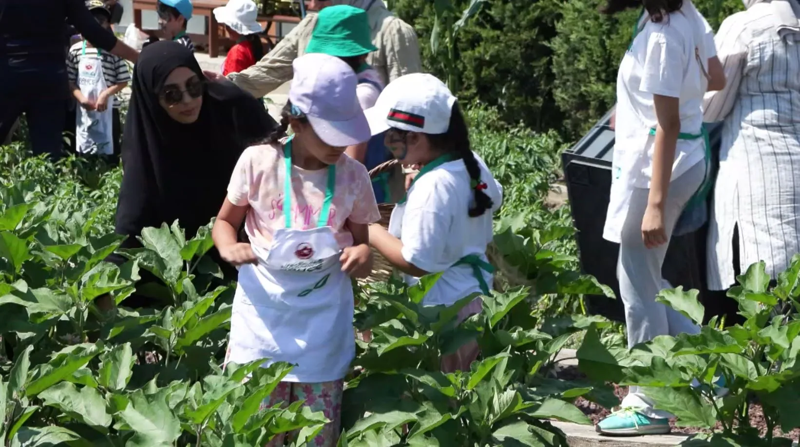 Şehrin göbeğinde çocuklara köy hayatı deneyimi