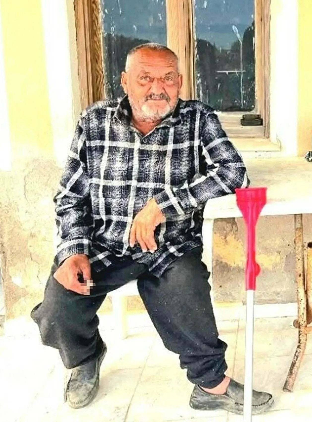 Ayıları beslemek onları öldürüyor