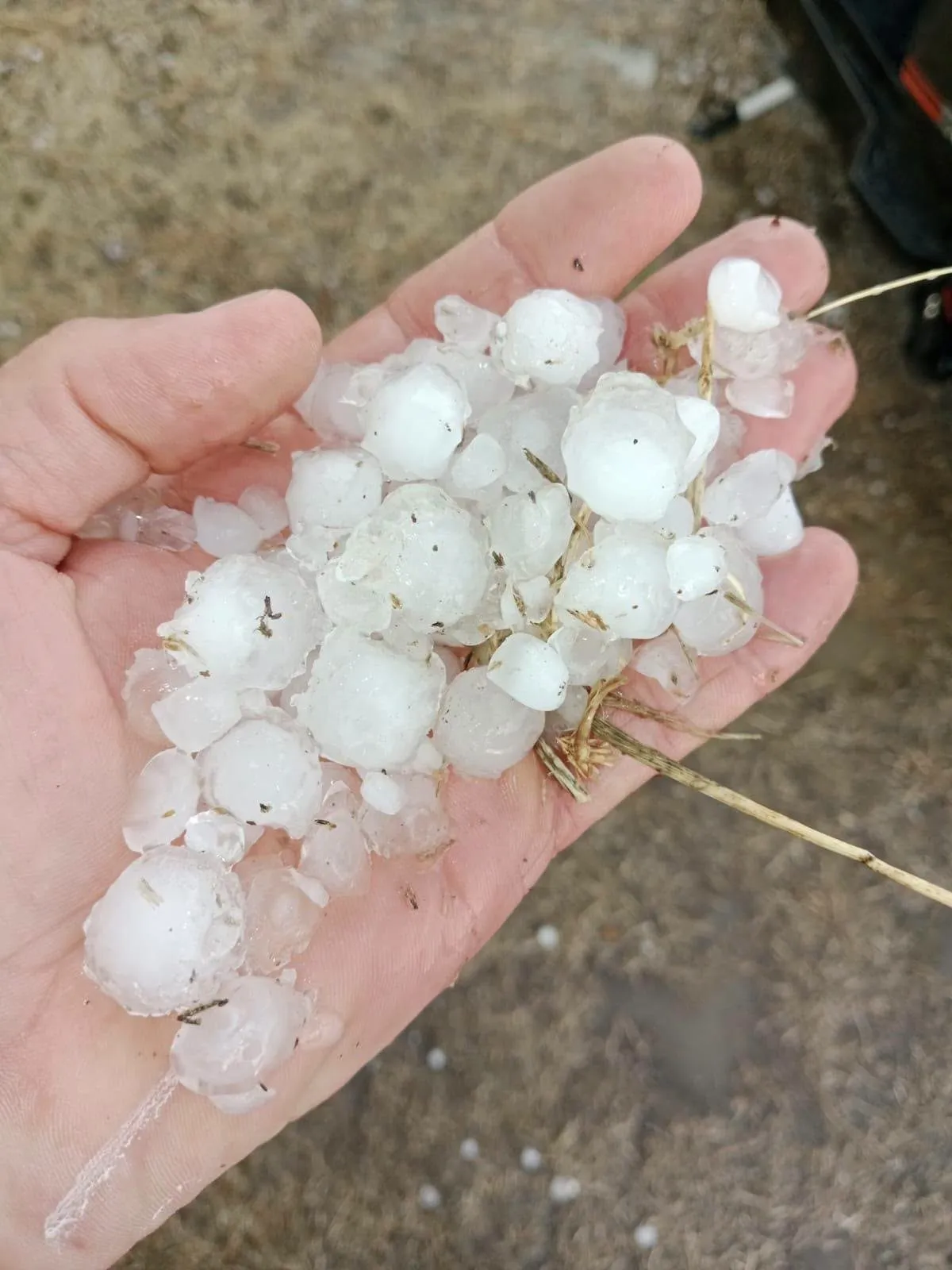 Edirne’de akşam saatlerinde aniden bastıran sağanak hayatı zorlaştırdı