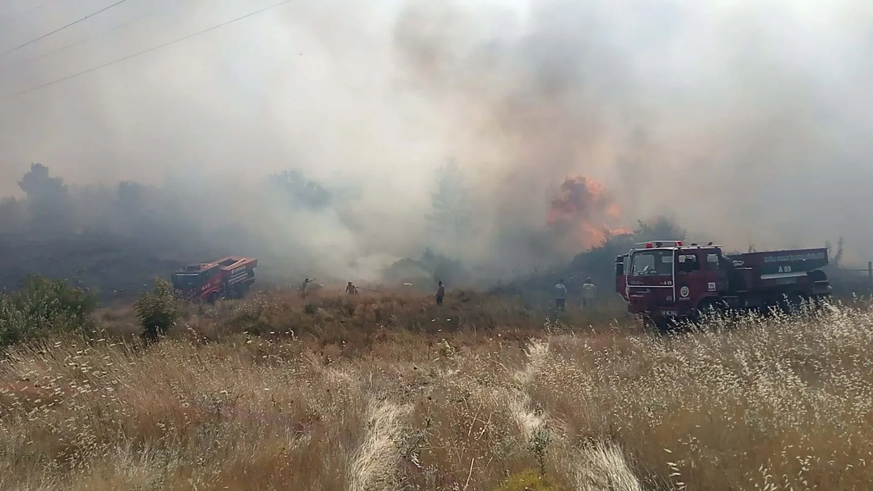 Muğla Yenice’de yangın ormana sıçradı ekipler havadan ve karadan müdahale ediyor