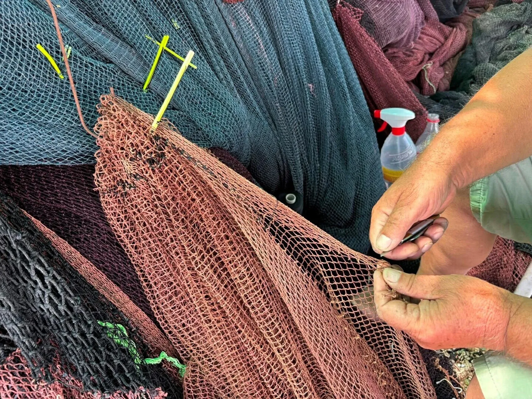 İzmirli balıkçılar için büyük gün yaklaşıyor