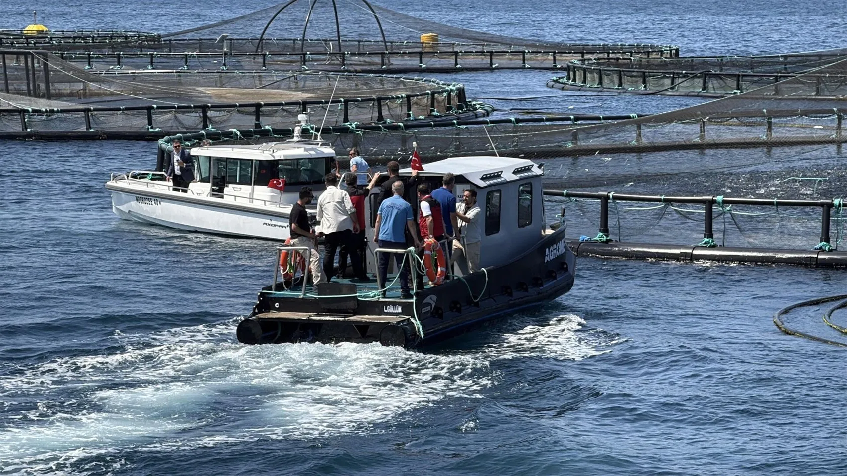 Muğla balık ihracatında vites yükseltiyor