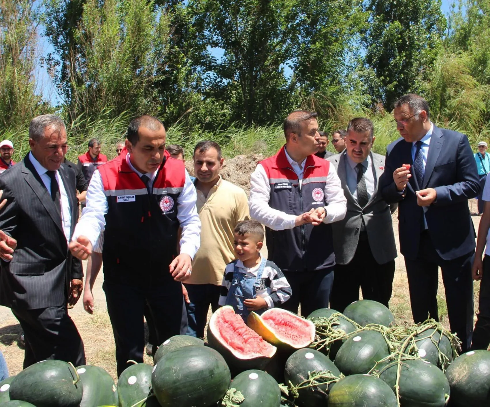 Doğu’nun Çukurova’sında ilk hasat heyecanı