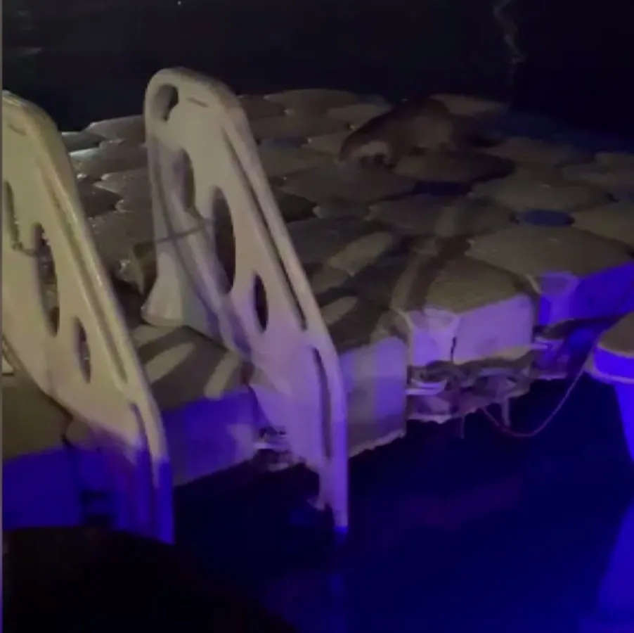 Ereğli sahilinde samimi anlar