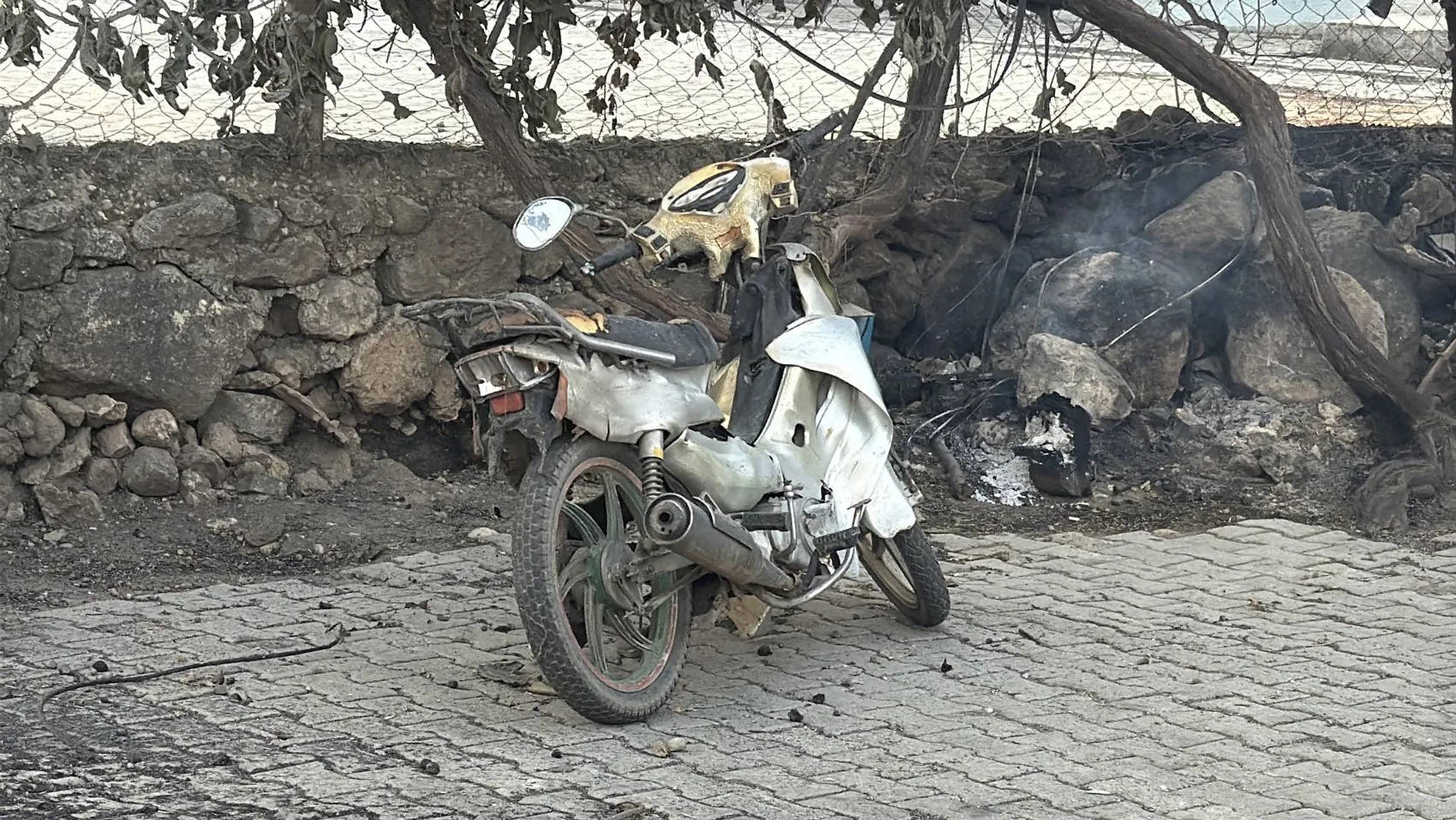 Seydikemer orman yangınında alevler evlere sıçradı