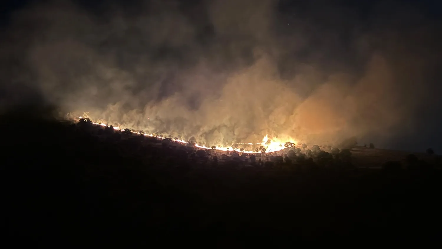 Manisa Kula'da makilik alanda çıkan yangın kontrol altına alındı