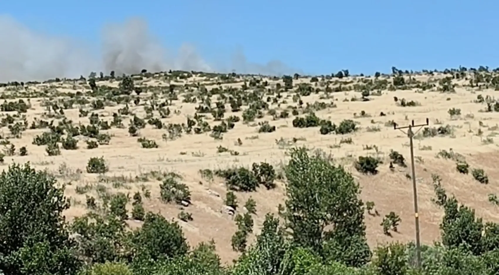 Dicle kırsalında alevler rüzgarla büyüdü
