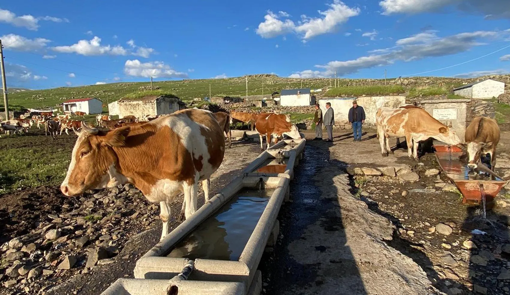 Karslı üreticiler 2 bin metrede kışlık hazırlığa başladı