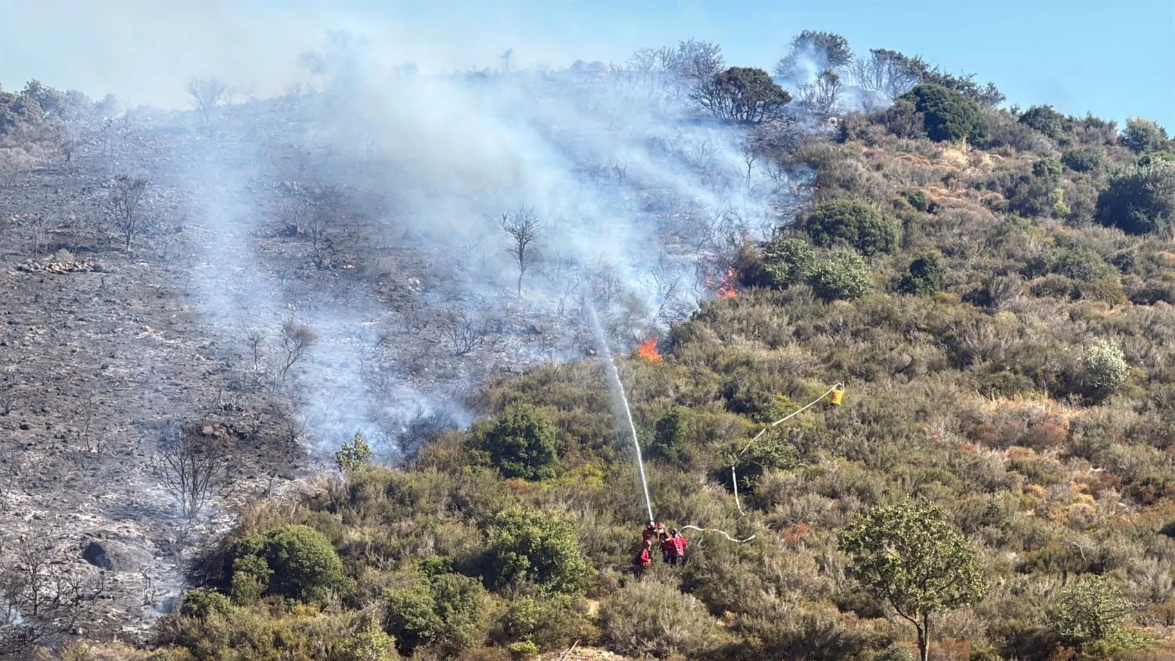Bodrum’da makilik alanda yükselen alevlere havadan ve karadan müdahale sürüyor