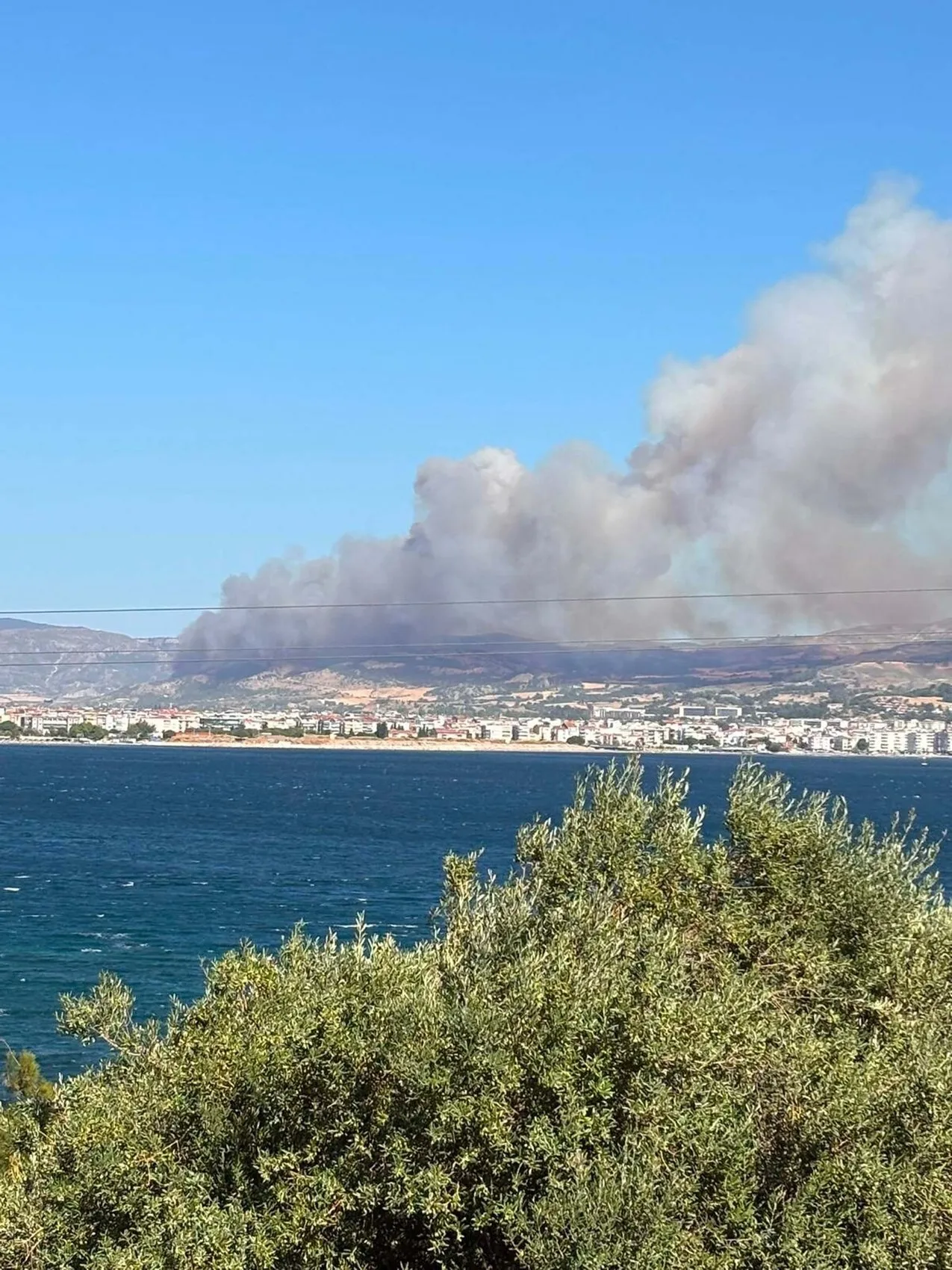 Çanakkale Saraycık köyü yakınlarında orman yangını başladı