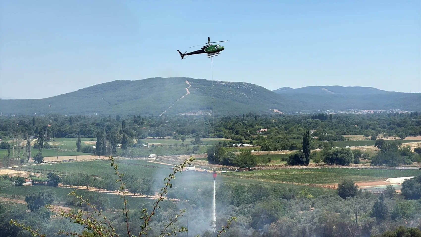 Muğla’daki yangında iki dönüm alan küle döndü