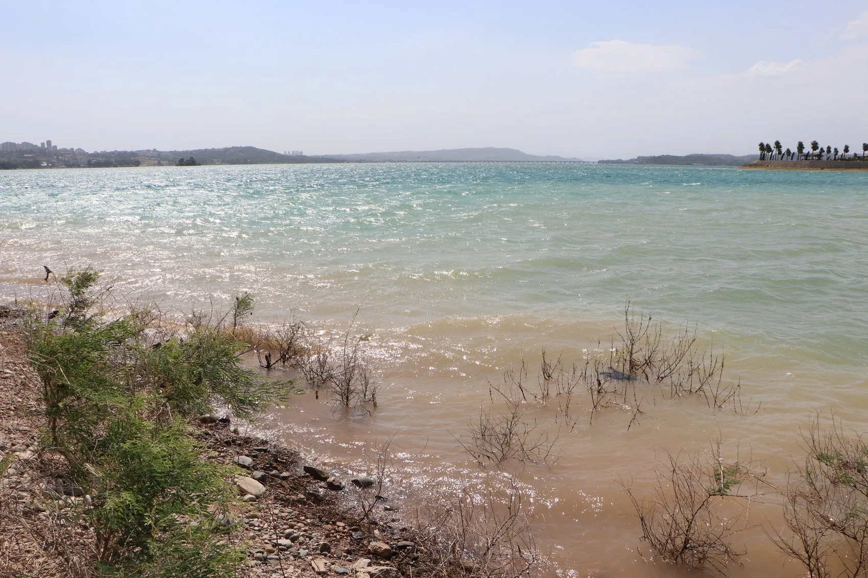 Adana'da piknik faciası Terlik kurtarmak isterken canından oldu