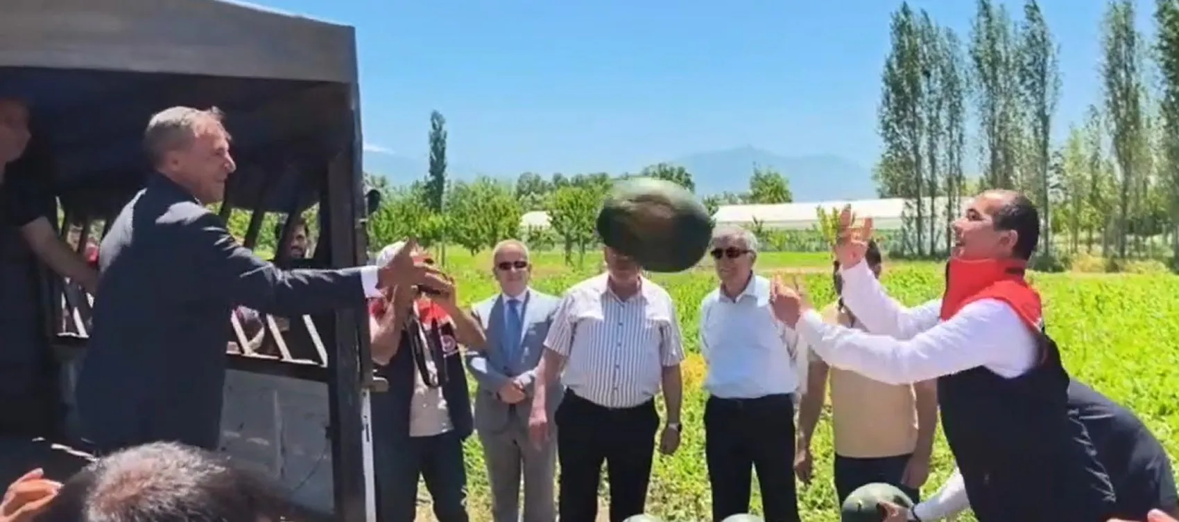 Doğu’nun Çukurova’sında ilk hasat heyecanı