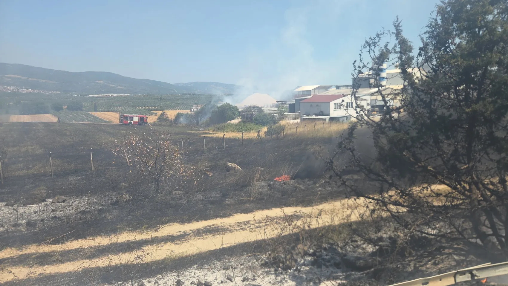 Orhangazi yolunda korkutan yangın söndürüldü
