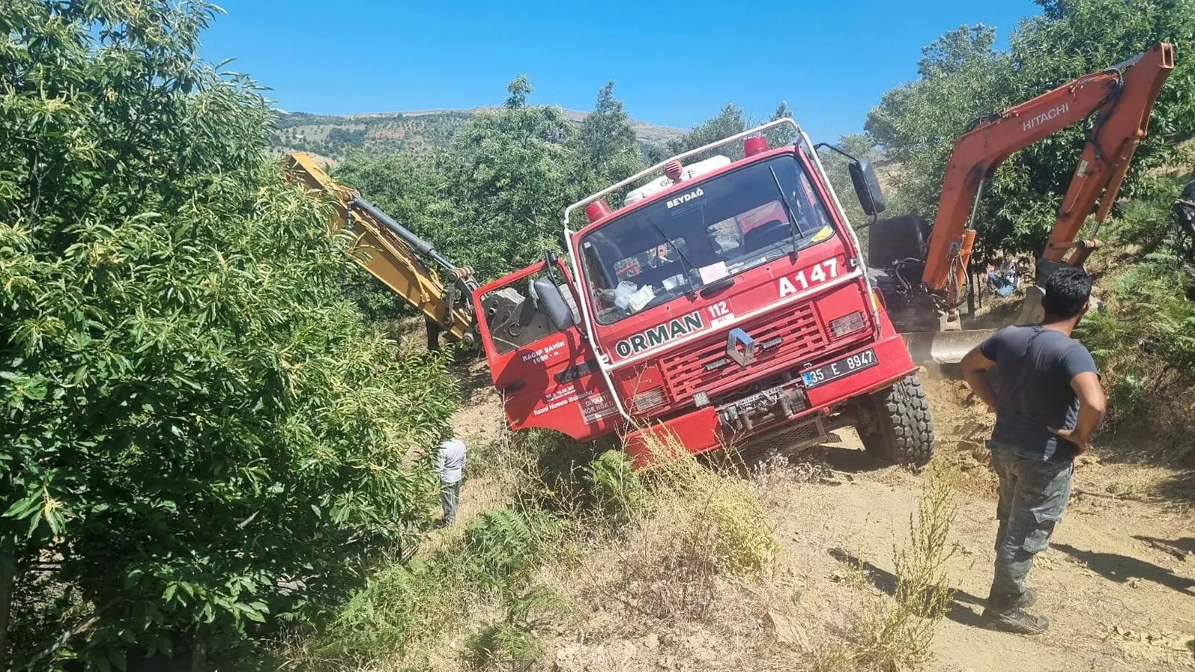 Sultanhisar'da kestane bahçeleri alevlere teslim oldu