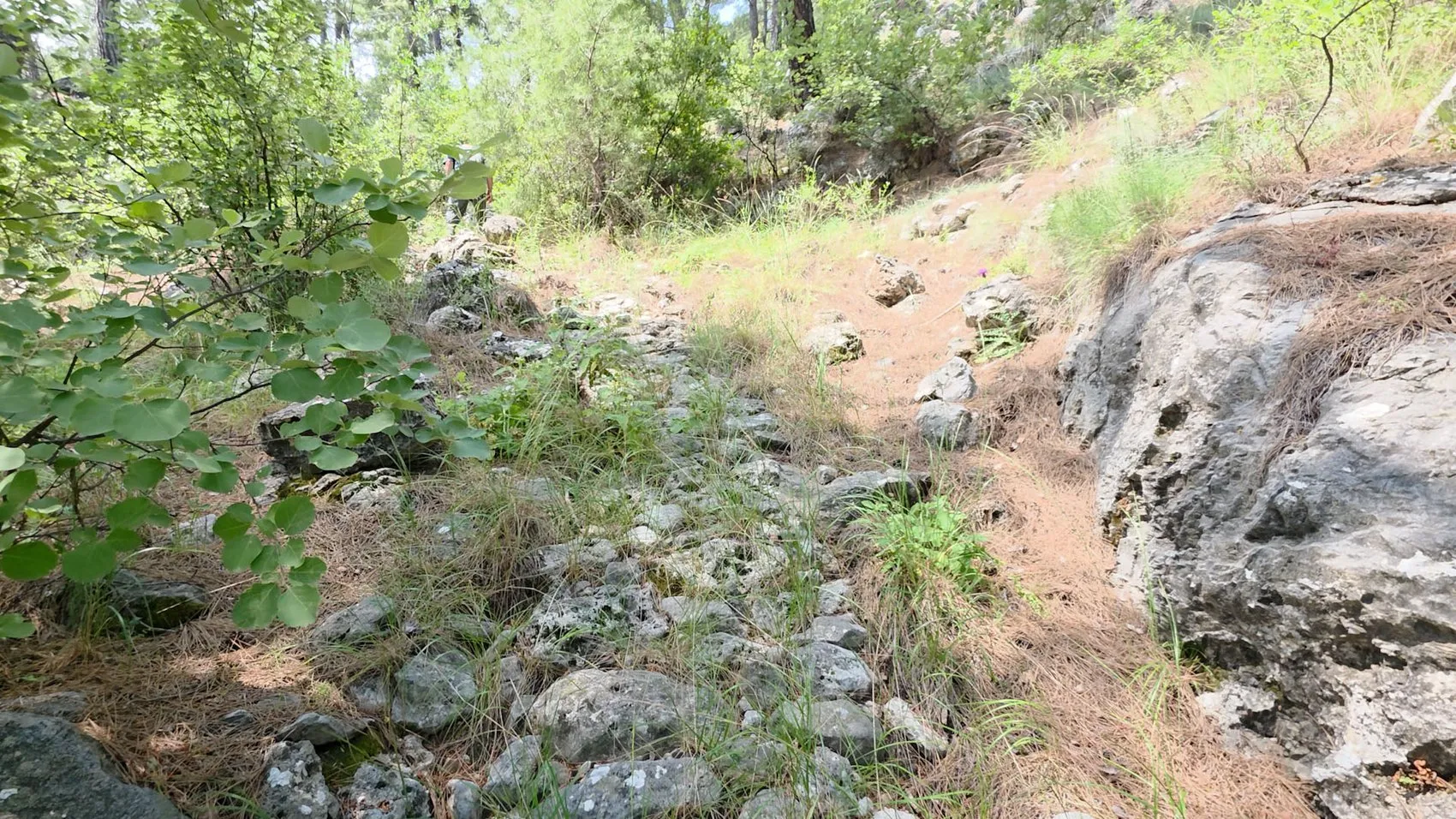 Antalya Konyaaltı’nda gizli bir yeraltı dünyası bulundu