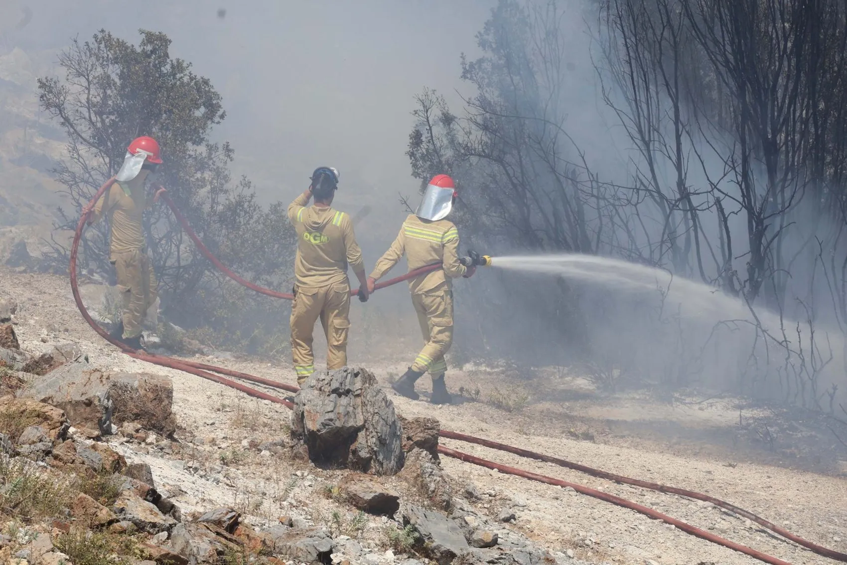 Muğla’daki yangında iki dönüm alan küle döndü