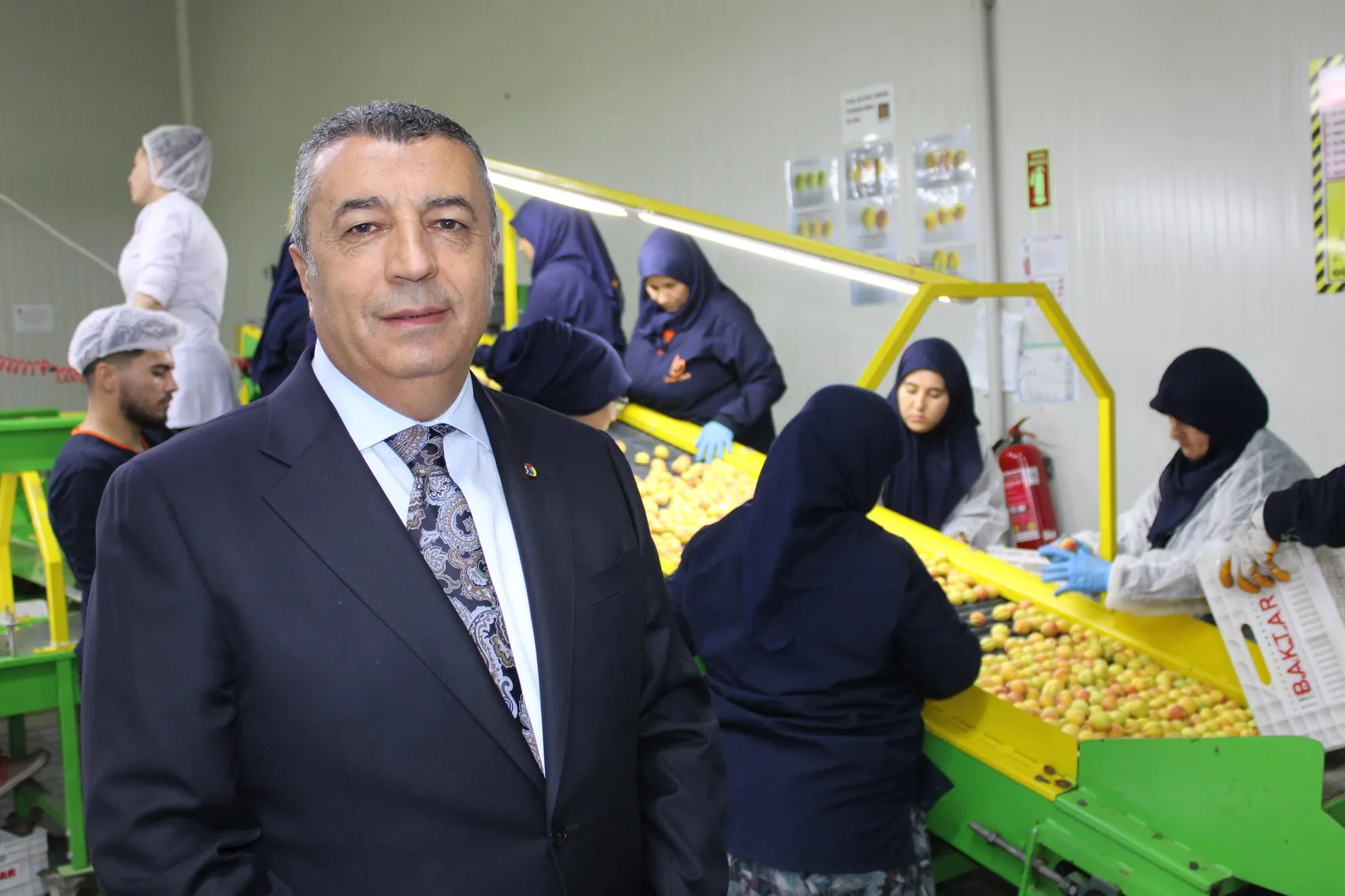 Malatya kayısısı Avrupa yollarında