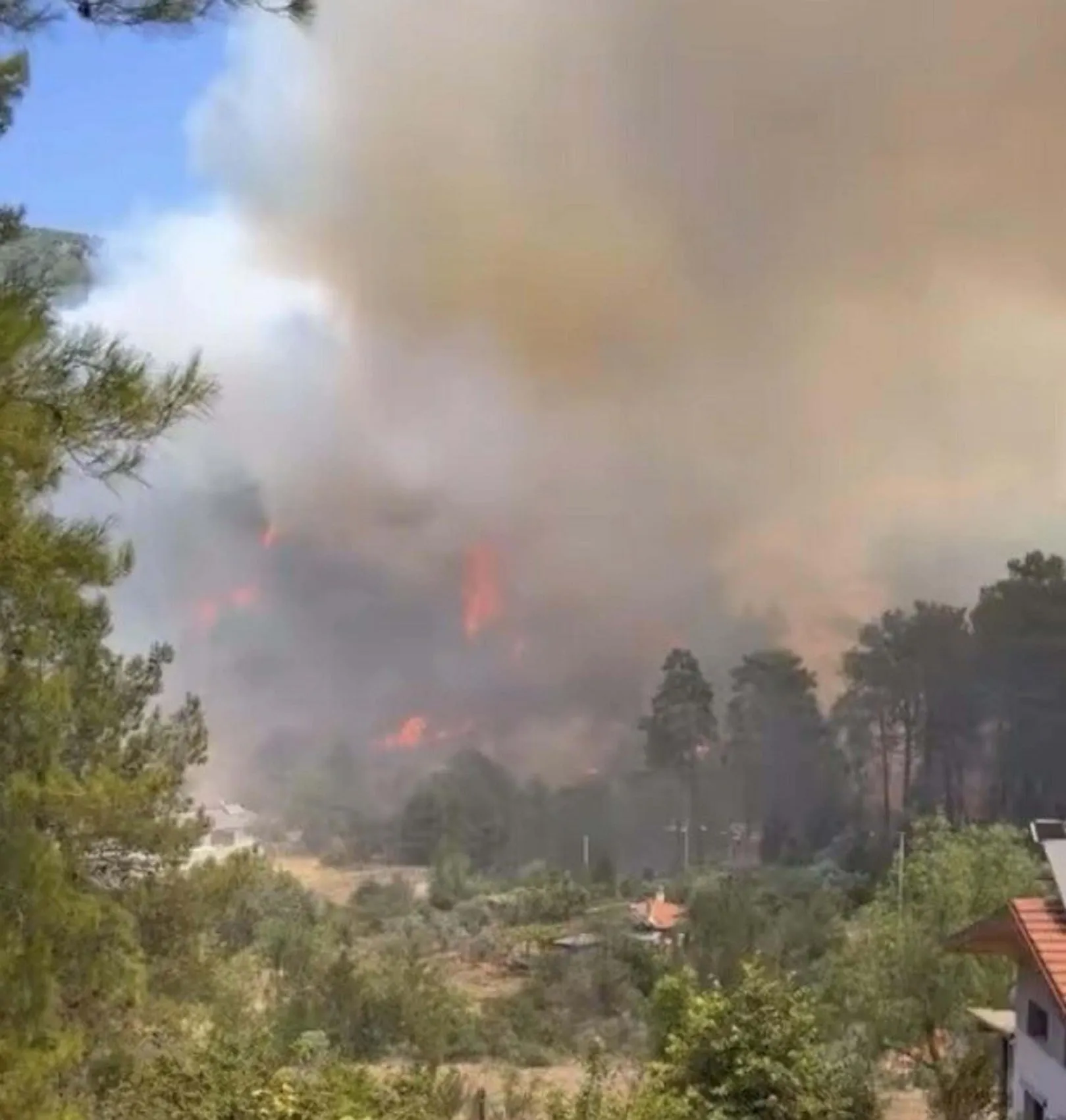 Fethiye Göcek'te orman yangını paniği