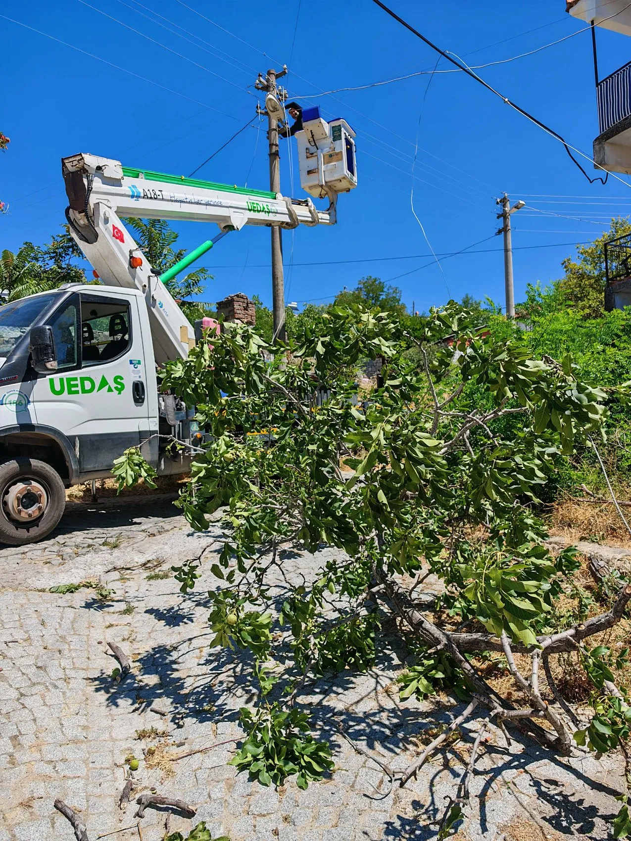 Ayvalık'ta rüzgar şiddetini artırdı tekne karaya sürüklendi