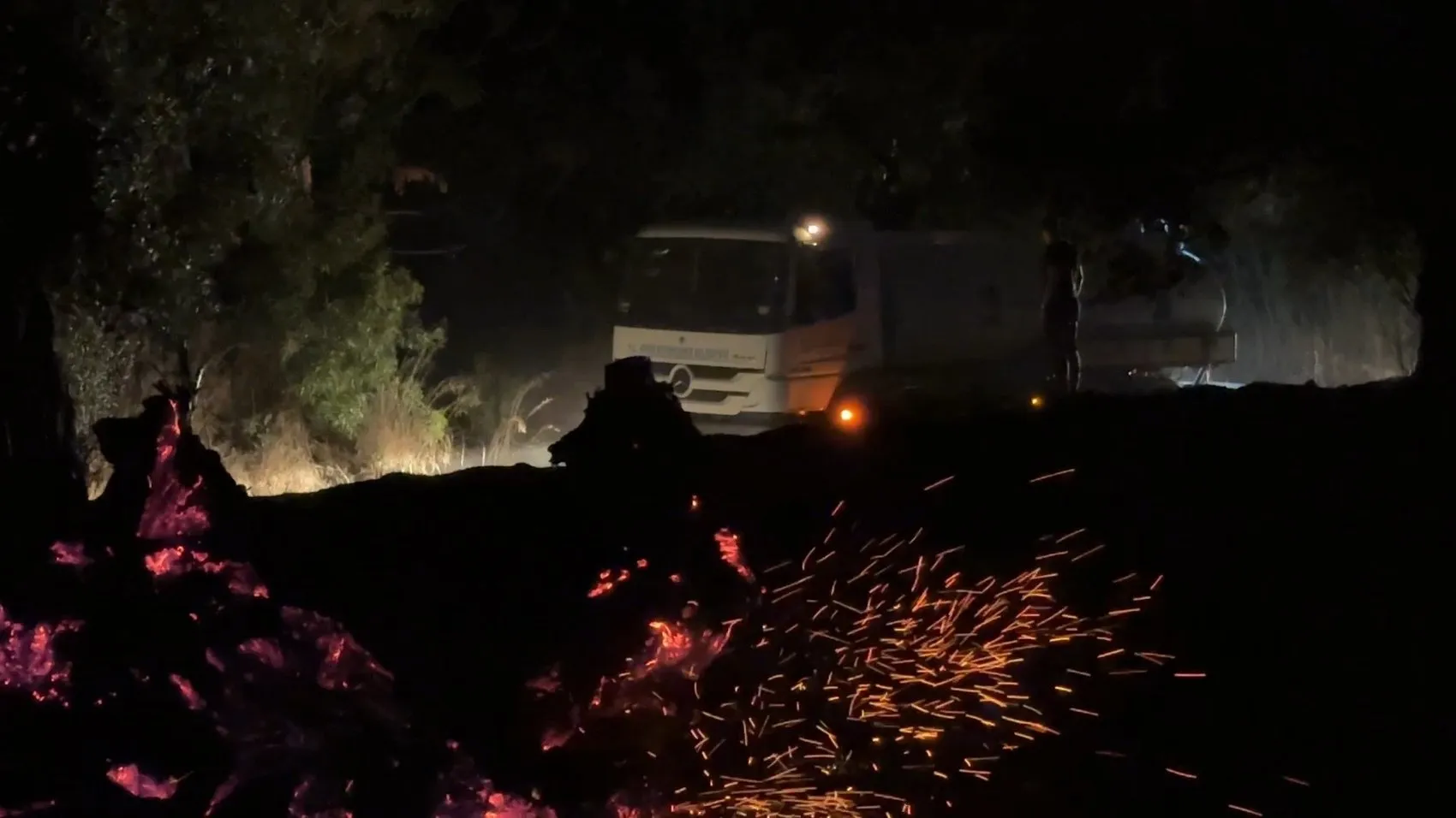 Aydın Efeler'de gece yarısı zeytinlikleri alevler yuttu
