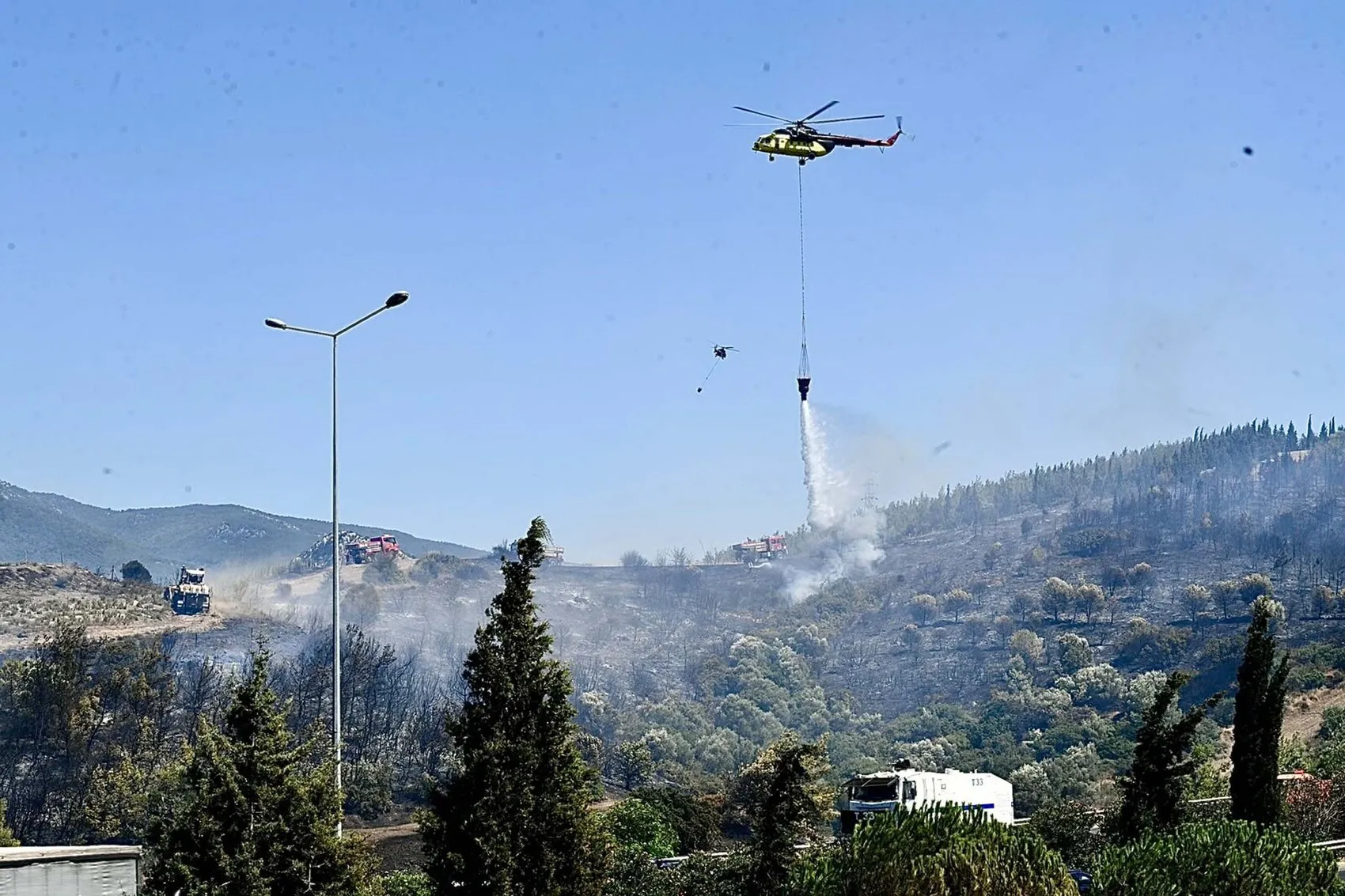 Bornova’daki yangında itfaiye ekipleri küçük bir canı kurtardı