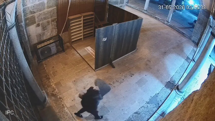 İzmit Yeni Cuma Camii'nde halı hırsızlığına tutuklama