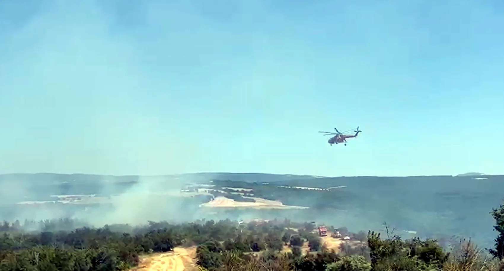 Tekirdağ Şarköy'de anız yangını ormana sıçradı