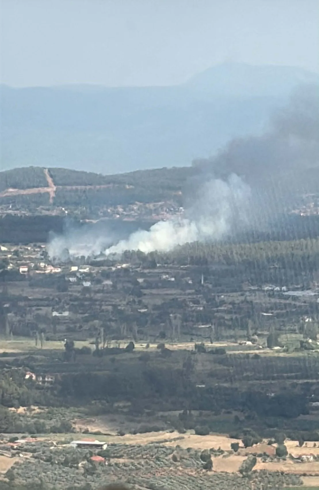 Muğla Yenice'de tarım alanında başlayan yangın ormana sıçradı