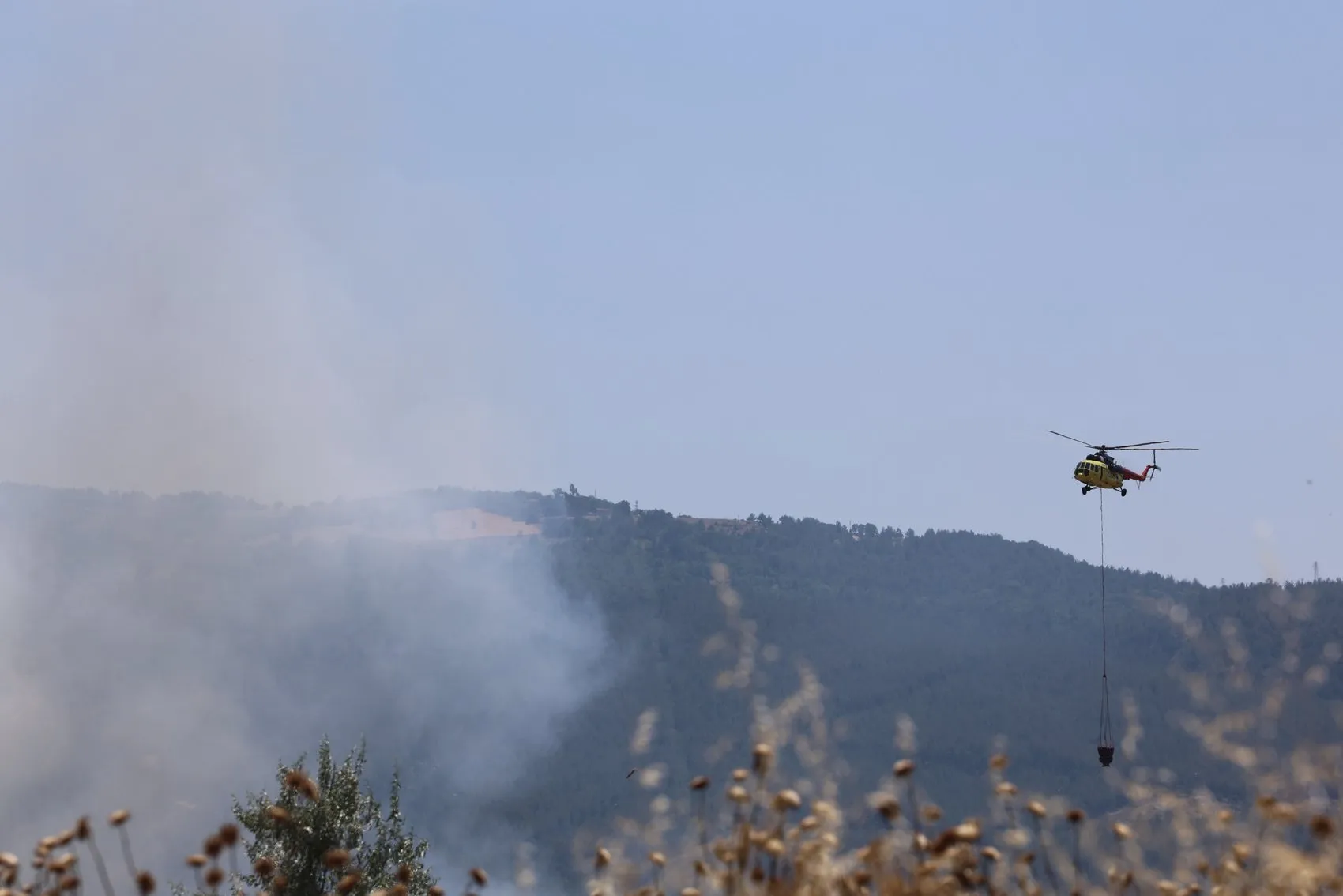 Safranbolu’da yangın paniği 100 dönümlük arazi küle döndü