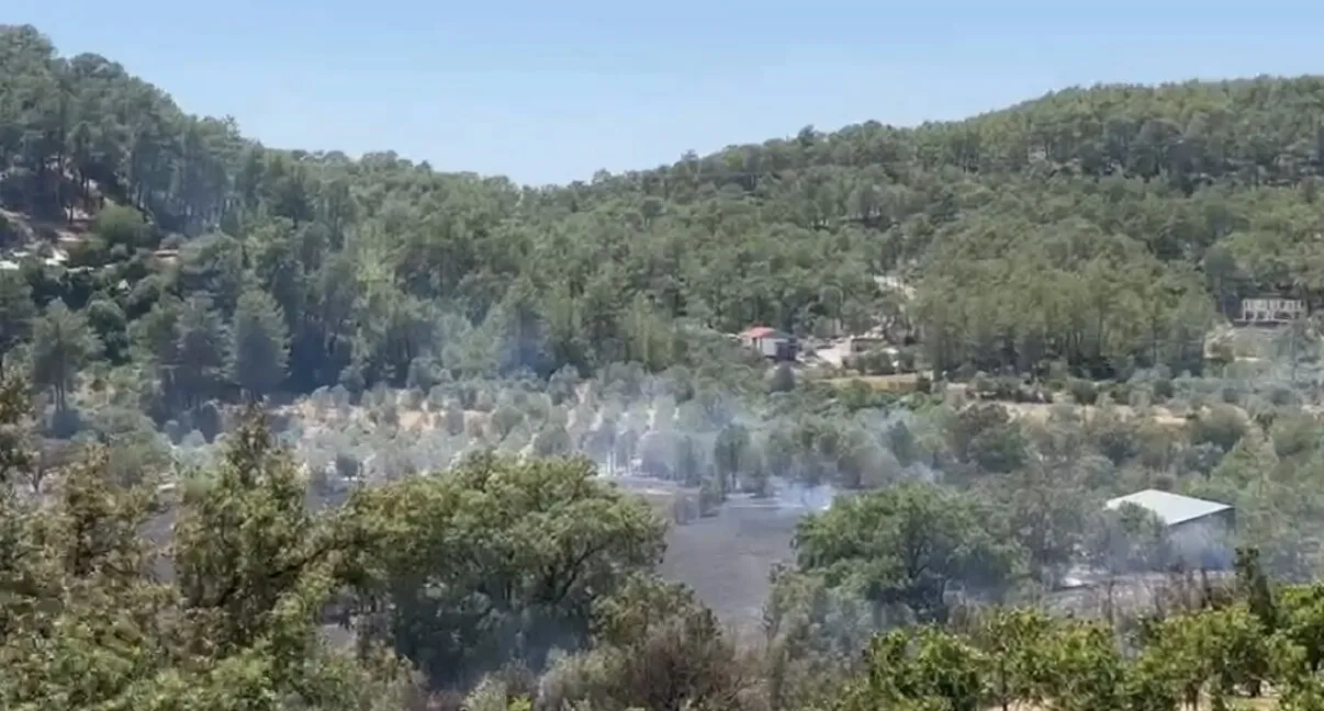 Fethiye'de orman yangını paniği