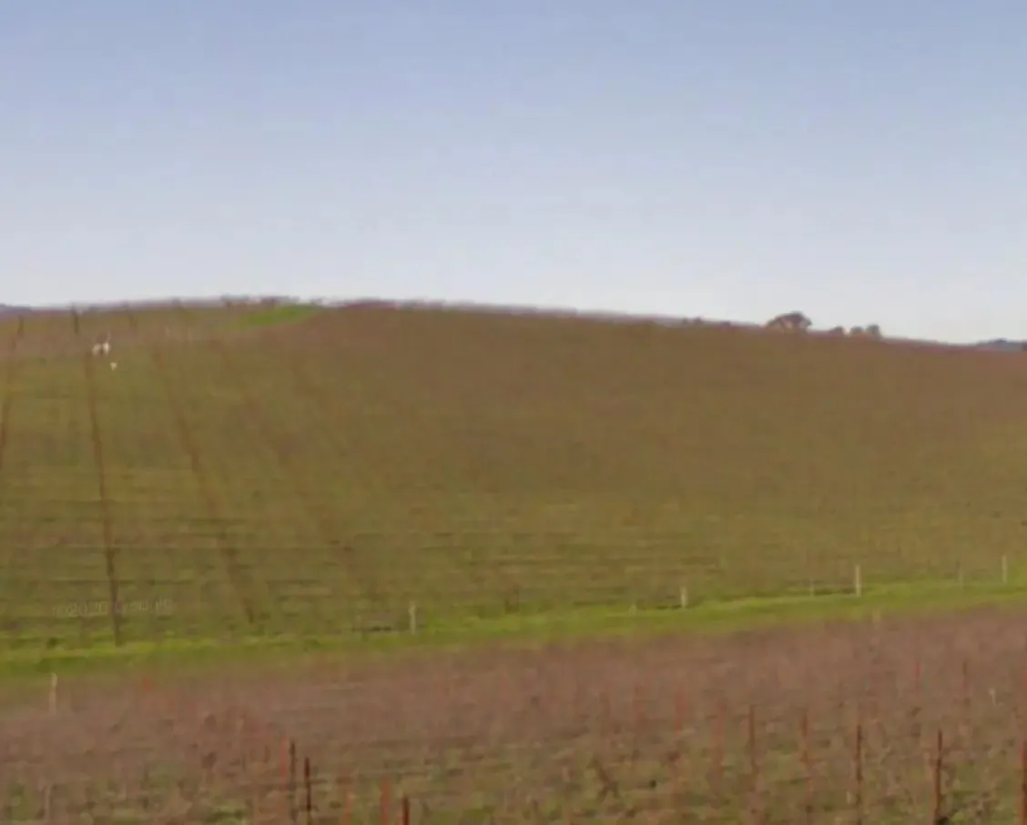 Windows XP'nin ikonik manzarası artık yok: O tepe tamamen değişti