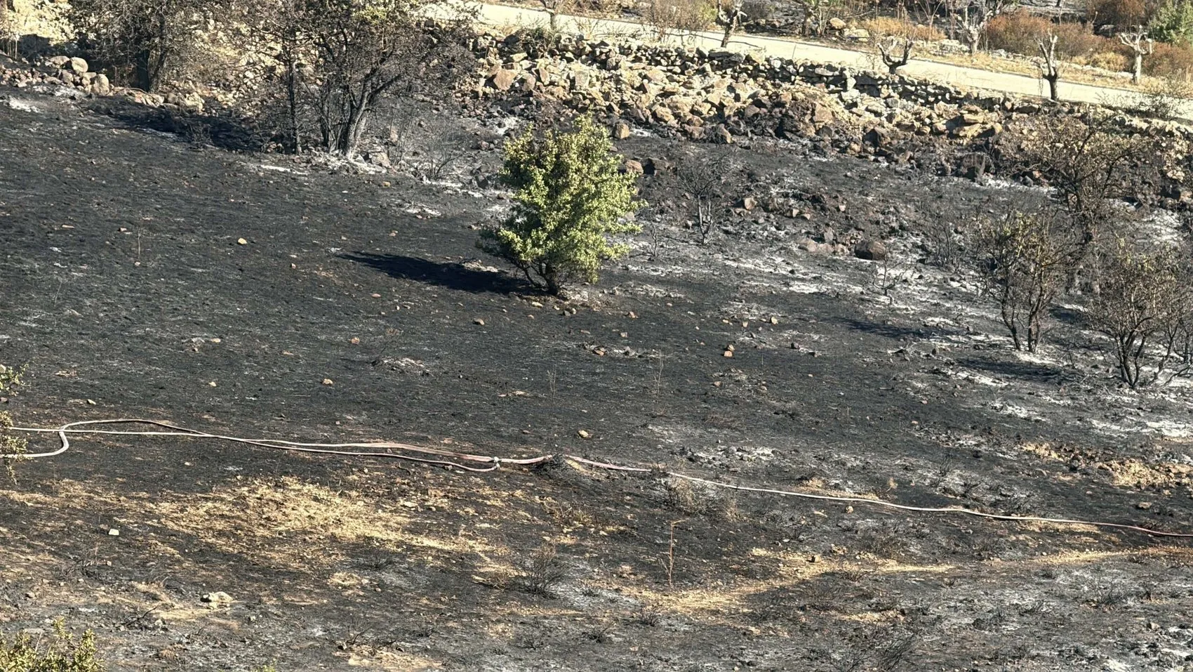 Bodrum’da 10 hektarlık alanı küle çeviren yangın kontrol altında