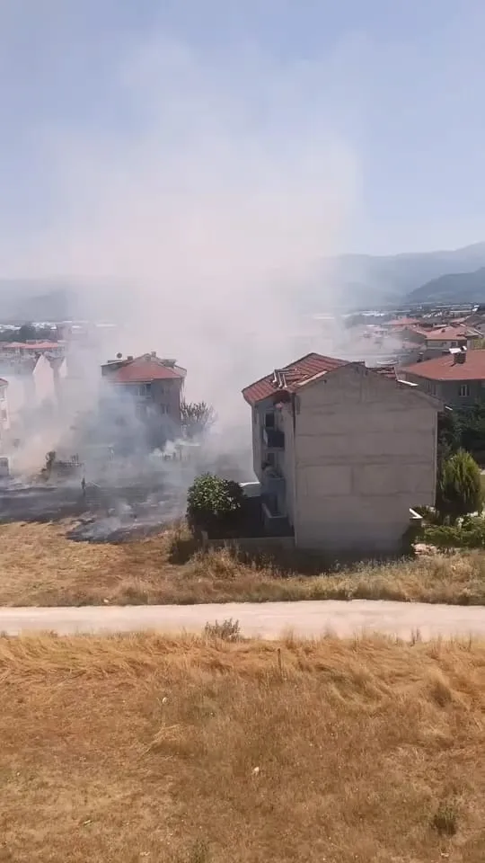 İnegöl'de dikkatsizlik 20 dönüm araziyi küle çevirdi