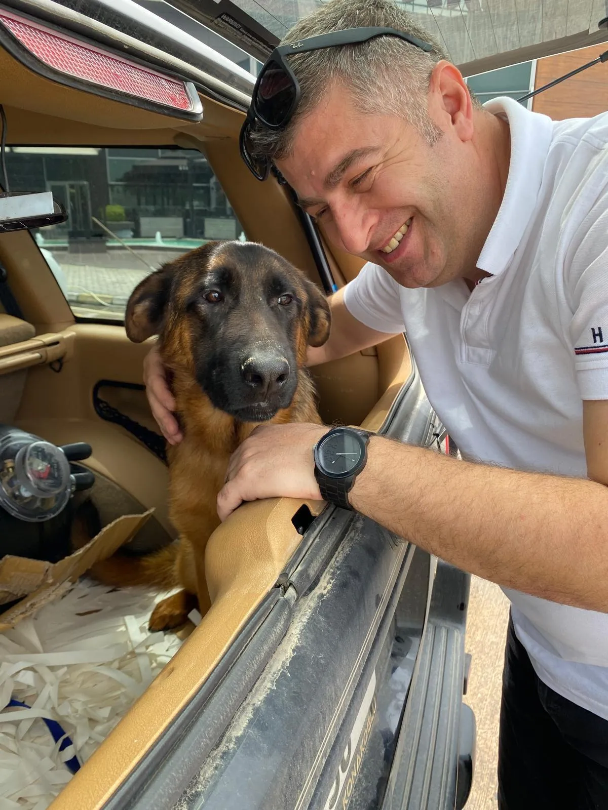 Trabzon'da kayıp köpeğini bulana 100 bin lira ödül verecek