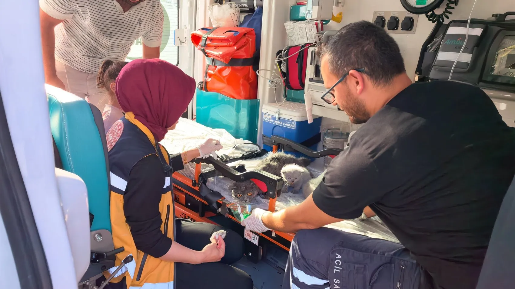 İnegöl'de yanan evdeki kedilere itfaiye ekipleri kalp masajı yaptı