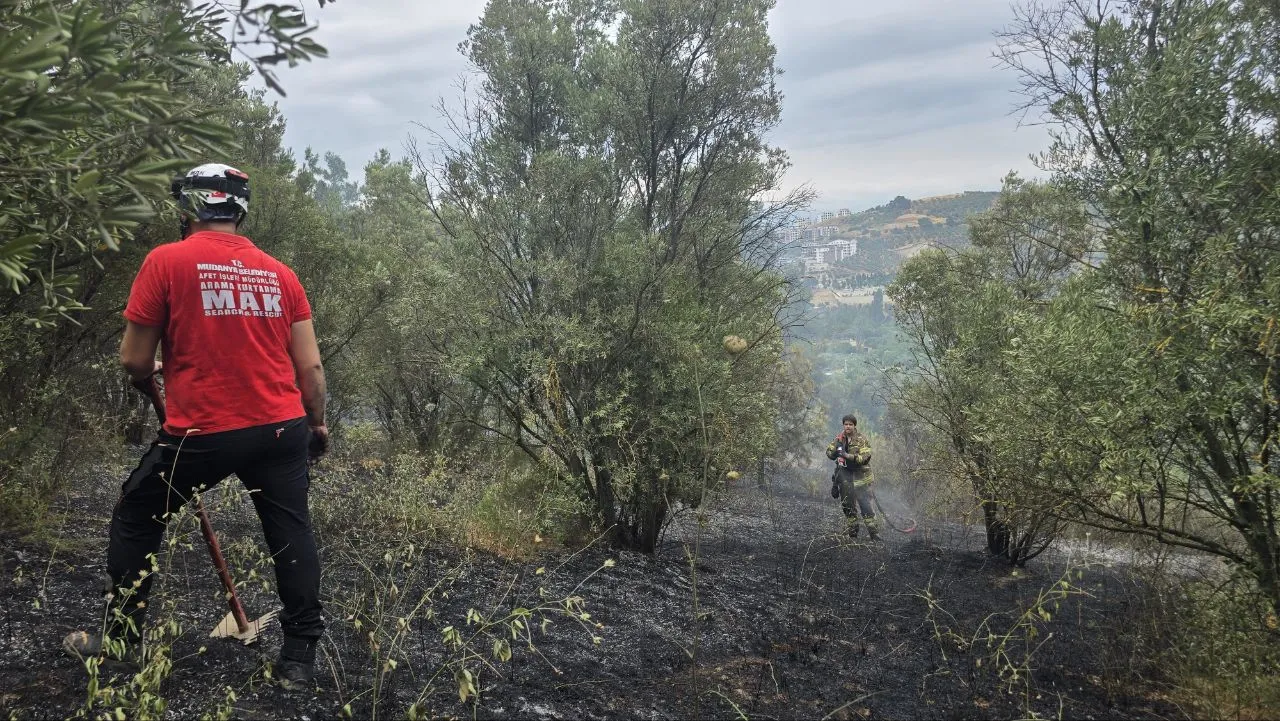 Mudanya'da bahçeden sıçrayan alevler dört dönümü küle çevirdi