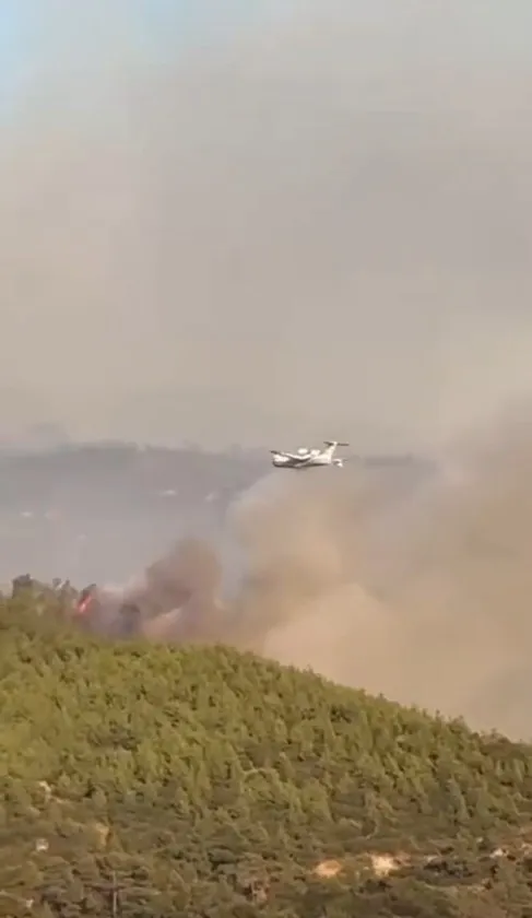 Susurluk'ta orman yangını evlere yaklaştı