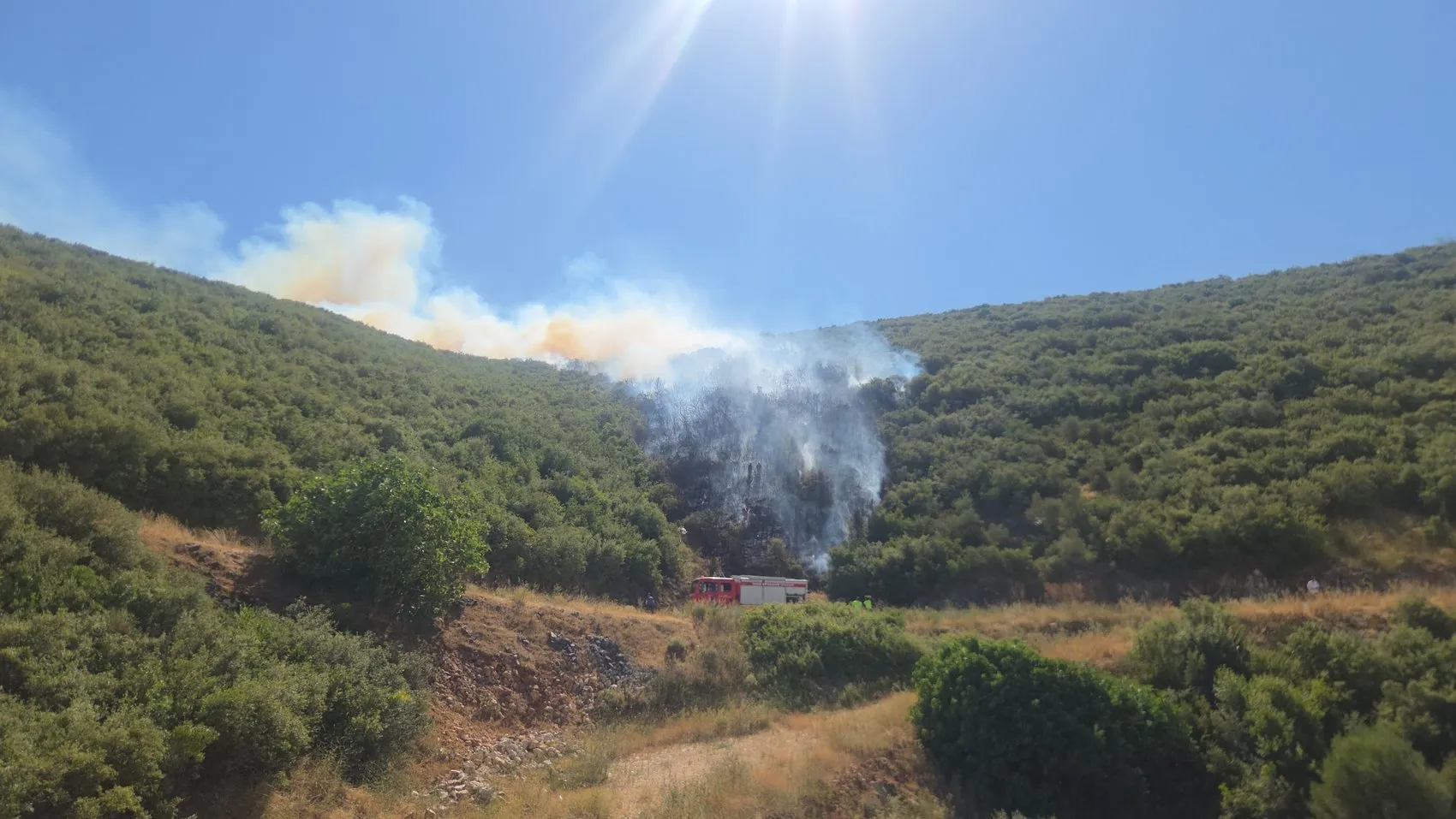 Orhangazi'de makilik alanda dumanlar yükseliyor