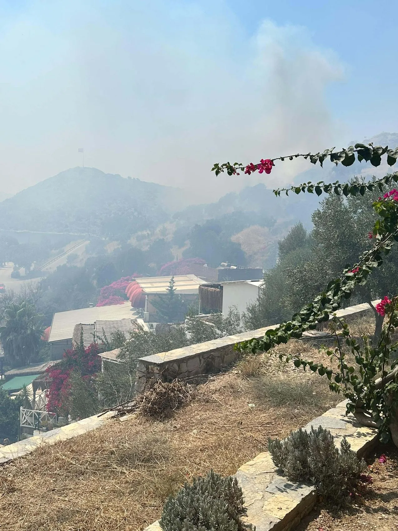 Bodrum Gümüşlük'te korkutan yangın söndürüldü