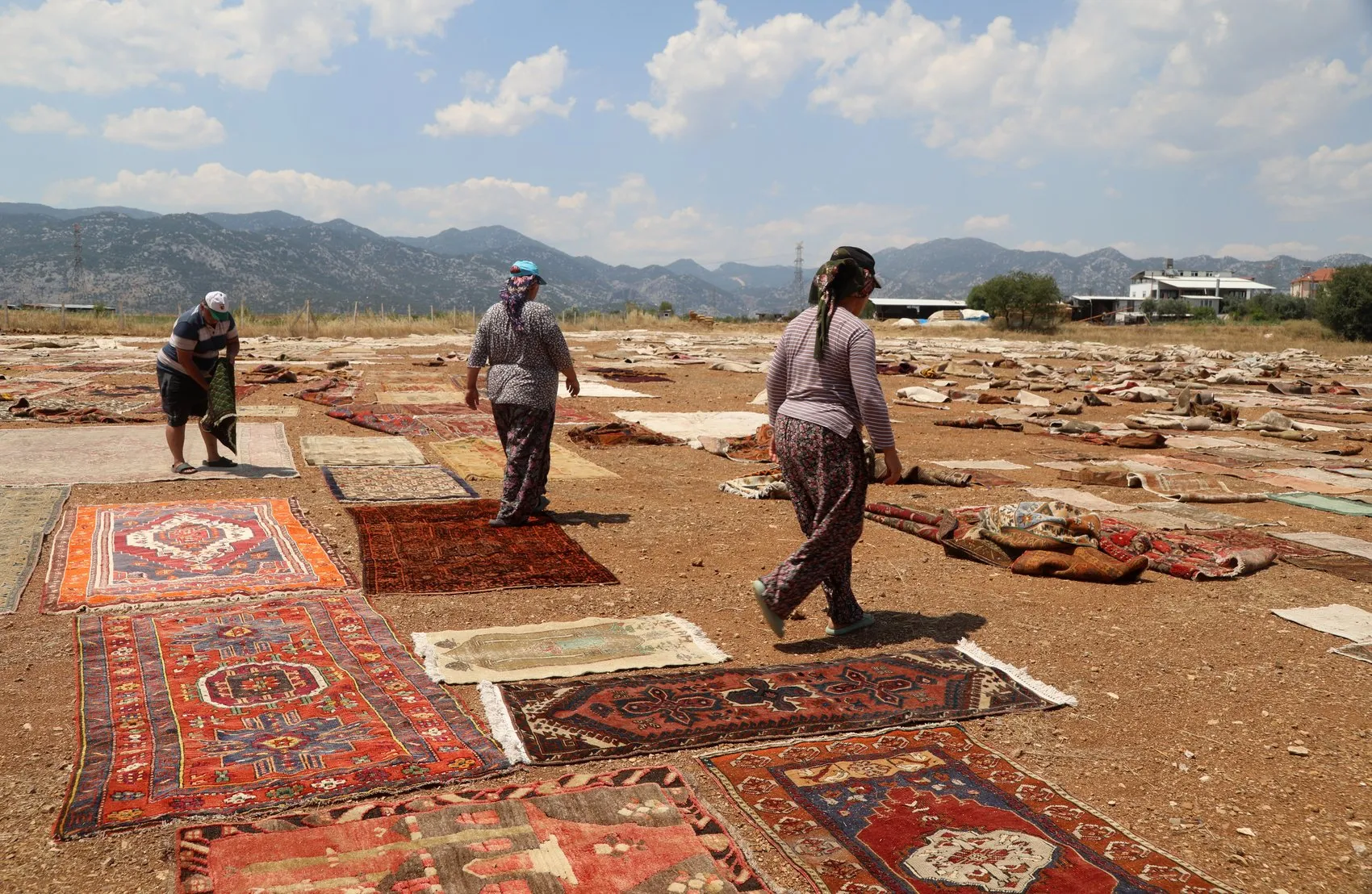 Anadolu'nun eski halıları Antalya güneşinde dekoratif sanat eserine dönüşüyor