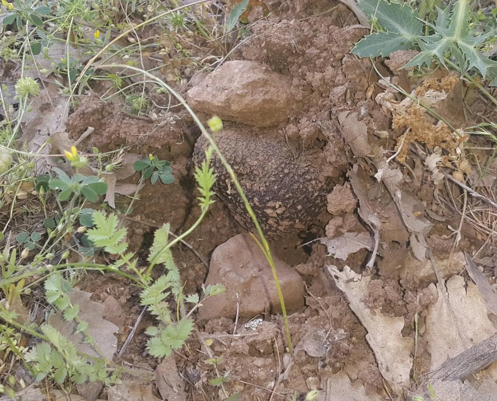 Toprağın altındaki kara elmas Erzurum ve Erzincan’da ortaya çıktı